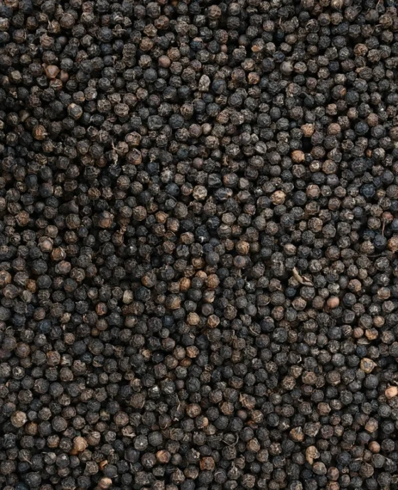  Black Pepper 