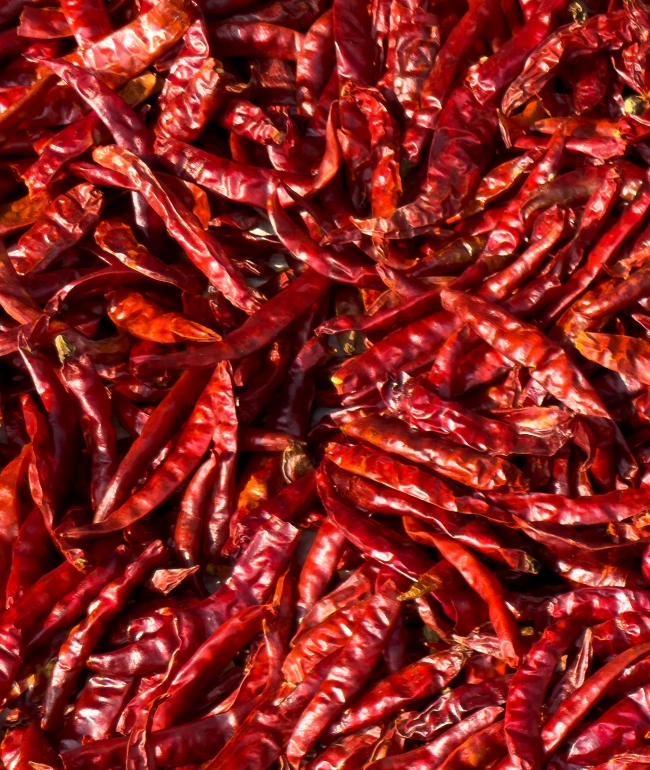 Dried Red Chillies