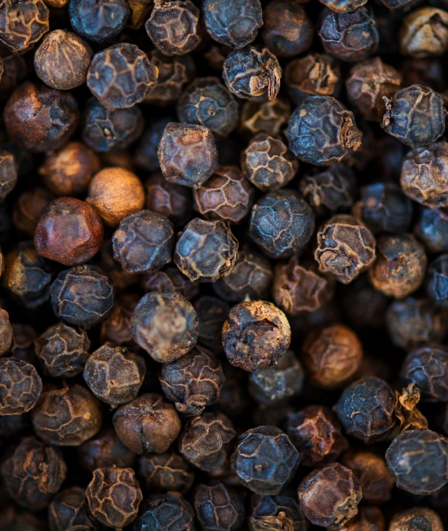 Bold Export Grade Pepper